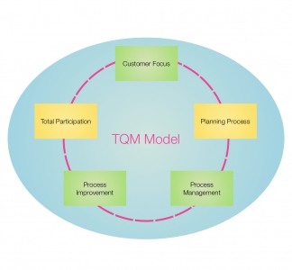 TQM Model preview